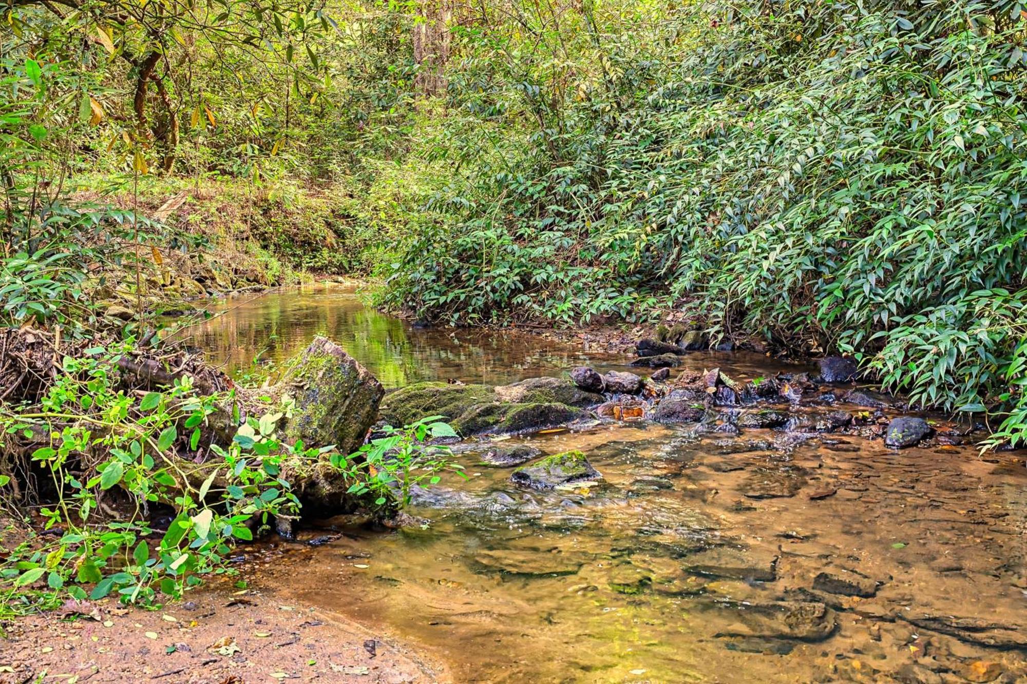 Вілла Laurel Creek Гелен Екстер'єр фото